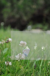 两万的信用卡逾期费多少 两万的信用卡逾期费多少