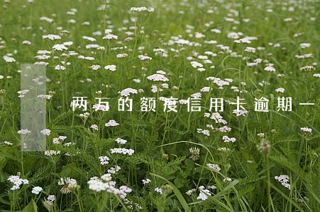 两万的额度信用卡逾期一年 两万的额度信用卡逾期一年