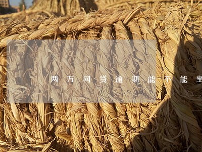 两万网贷逾期能不能坐高铁 两万网贷逾期能不能坐高铁