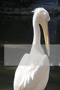 两万还款逾期4天 两万还款逾期4天