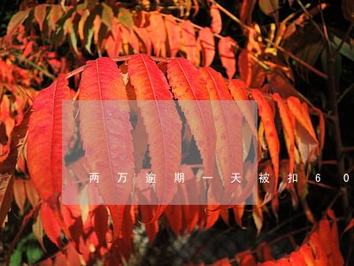 两万逾期一天被扣600 两万逾期一天被扣600