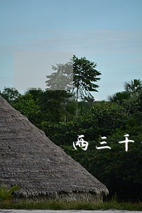 两三千的信用卡逾期
