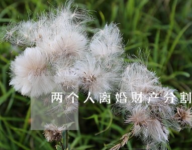 两个人离婚财产分割纠纷 两个人离婚财产分割纠纷