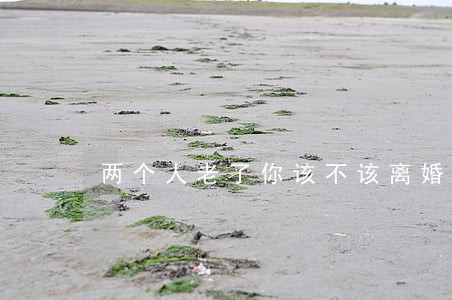 两个人老了你该不该离婚 两个人老了你该不该离婚