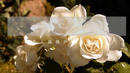 两个人调换户口违法吗 两个人调换户口违法吗