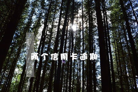 两个信用卡逾期 两个信用卡逾期