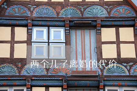 两个儿子离婚的代价 两个儿子离婚的代价