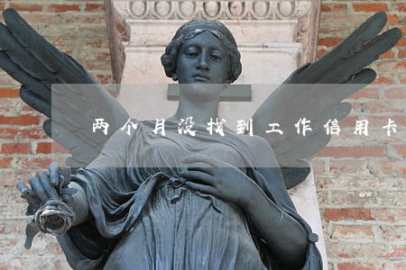 两个月没找到工作信用卡逾期