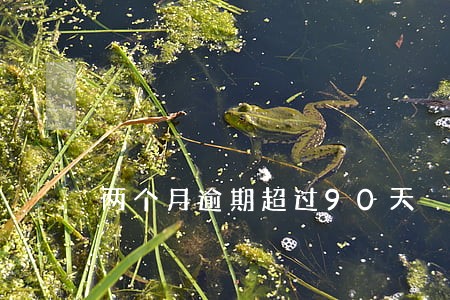 两个月逾期超过90天 两个月逾期超过90天