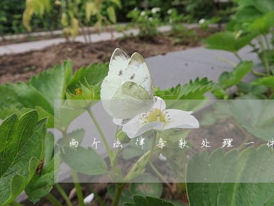 两个法律条款处理一件违法事实