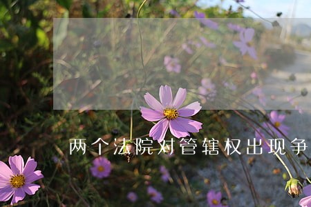两个法院对管辖权出现争议