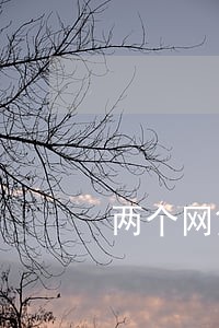 两个网贷逾期怎么办 两个网贷逾期怎么办