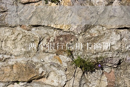 两个银行信用卡逾期 两个银行信用卡逾期
