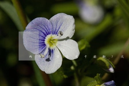 两个银行信用卡逾期7次 两个银行信用卡逾期7次