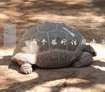 两个银行信用卡逾期影响吗 两个银行信用卡逾期影响吗