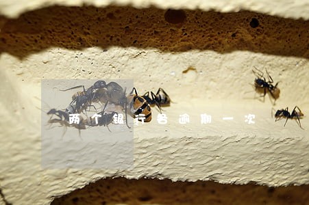 两个银行各逾期一次 两个银行各逾期一次