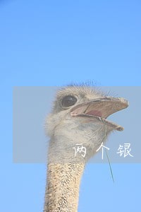 两个银行逾期 两个银行逾期