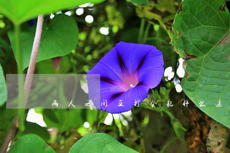 两人之间互打会犯什么法律 两人之间互打会犯什么法律