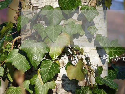 两人共有房产离婚协议书 两人共有房产离婚协议书
