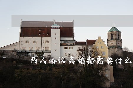 两人协议离婚都需要什么 两人协议离婚都需要什么