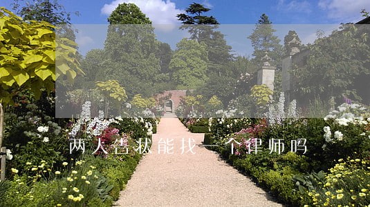 两人告状能找一个律师吗 两人告状能找一个律师吗