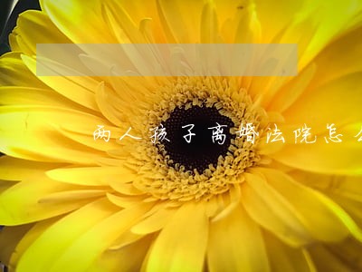 两人孩子离婚法院怎么判 两人孩子离婚法院怎么判