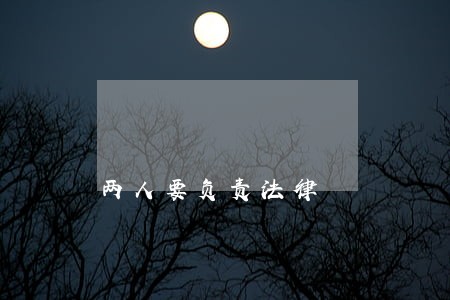 两人要负责法律 两人要负责法律