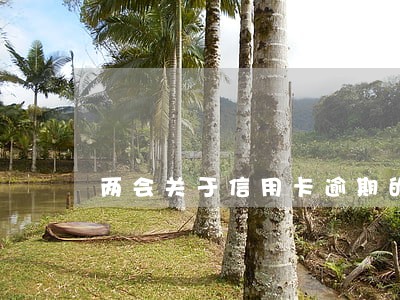 两会关于信用卡逾期的提议