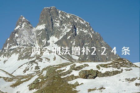 两会刑法增补224条 两会刑法增补224条