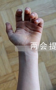 两会提出的五型 两会提出的五型