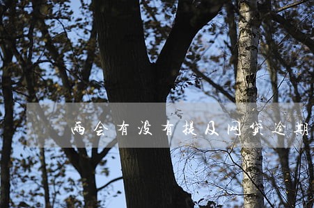 两会有没有提及网贷逾期问题 两会有没有提及网贷逾期问题