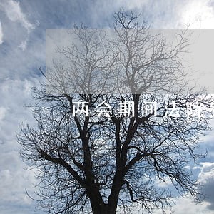 两会期间法院安保应急预案 两会期间法院安保应急预案