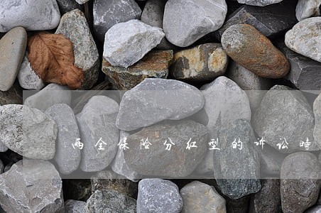 两全保险分红型的诉讼时效 两全保险分红型的诉讼时效