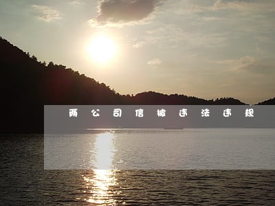 两公司信披违法违规 两公司信披违法违规