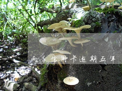 两千信用卡逾期五年 两千信用卡逾期五年