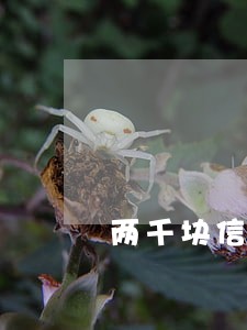 两千块信用卡逾期五天扣多少钱 两千块信用卡逾期五天扣多少钱