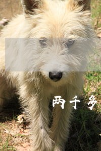 两千多网贷逾期两年了怎么还 两千多网贷逾期两年了怎么还