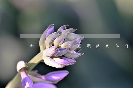 两千多网贷逾期说要上门 两千多网贷逾期说要上门