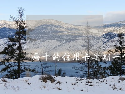 两千的信用卡逾期一个月利息 两千的信用卡逾期一个月利息