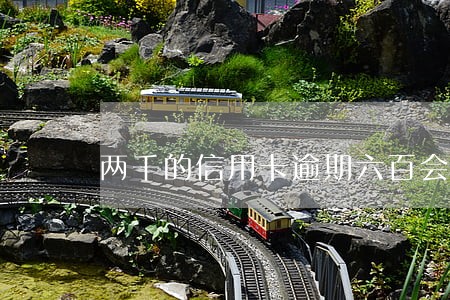 两千的信用卡逾期六百会怎样 两千的信用卡逾期六百会怎样