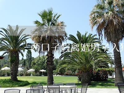 两口子假离婚男子入狱的情节