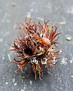 两口子离婚家产怎么分配 两口子离婚家产怎么分配