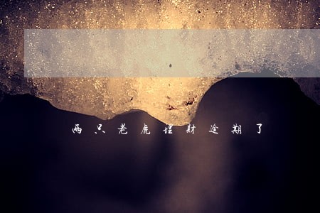 两只老虎理财逾期了 两只老虎理财逾期了