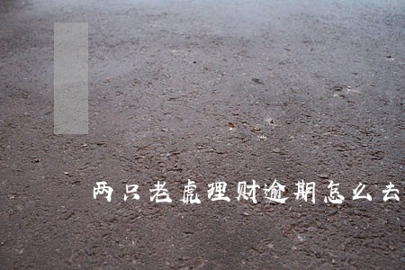 两只老虎理财逾期怎么去报警 两只老虎理财逾期怎么去报警