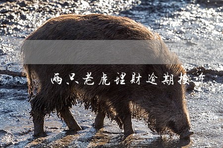 两只老虎理财逾期投诉 两只老虎理财逾期投诉