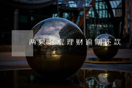 两只老虎理财逾期还款 两只老虎理财逾期还款