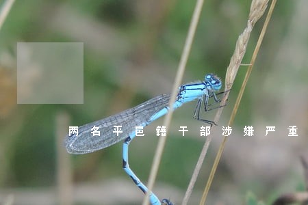 两名平邑籍干部涉嫌严重违纪违法 两名平邑籍干部涉嫌严重违纪违法