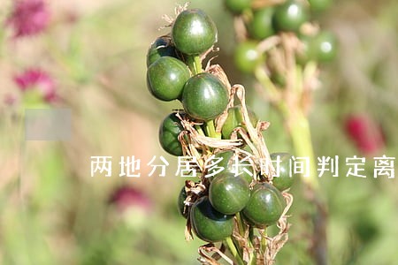 两地分居多长时间判定离婚 两地分居多长时间判定离婚