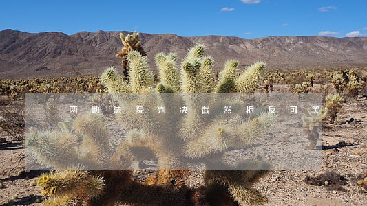 两地法院判决截然相反可笑 两地法院判决截然相反可笑