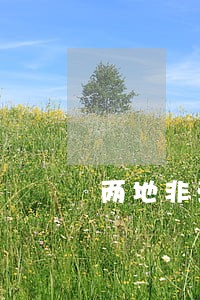 两地非法经营香烟哪个法院判刑 两地非法经营香烟哪个法院判刑